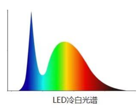 LED冷光.PNG